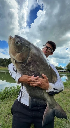 Pacu