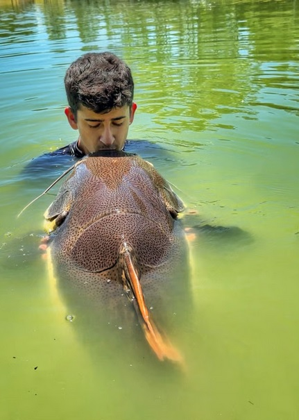 Matheus Alexandre — Dente da Traíra